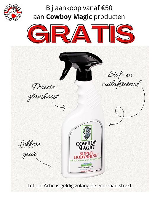 Brabants-Ruiterhuis-3-flyer-cowboy-magic-goed-1747930010.jpg